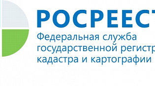 Оказание государственных услуг Росреестром в электронном виде