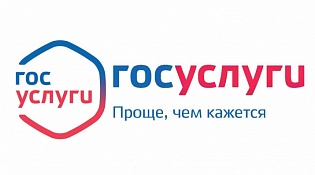 Государственные услуги в электронном виде