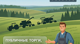 Публичные торги по продаже земельного участка из земель сельскохозяйственного назначения, изъятого по решению суда